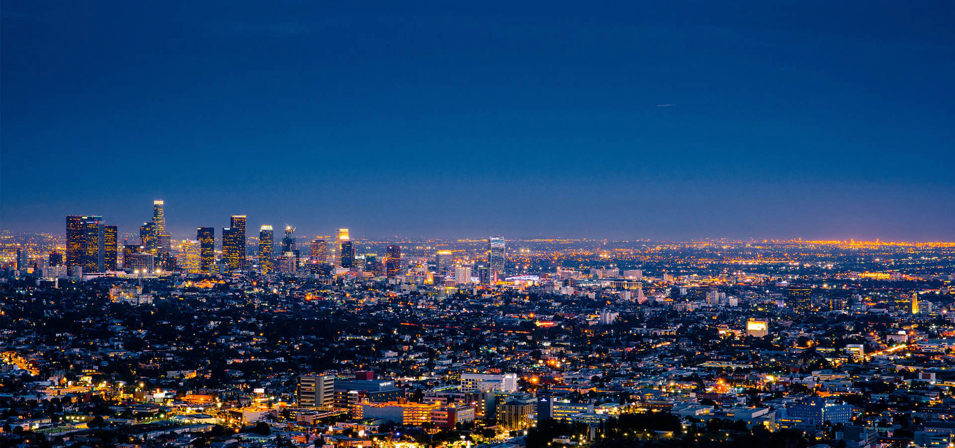 专业深耕，精准服务